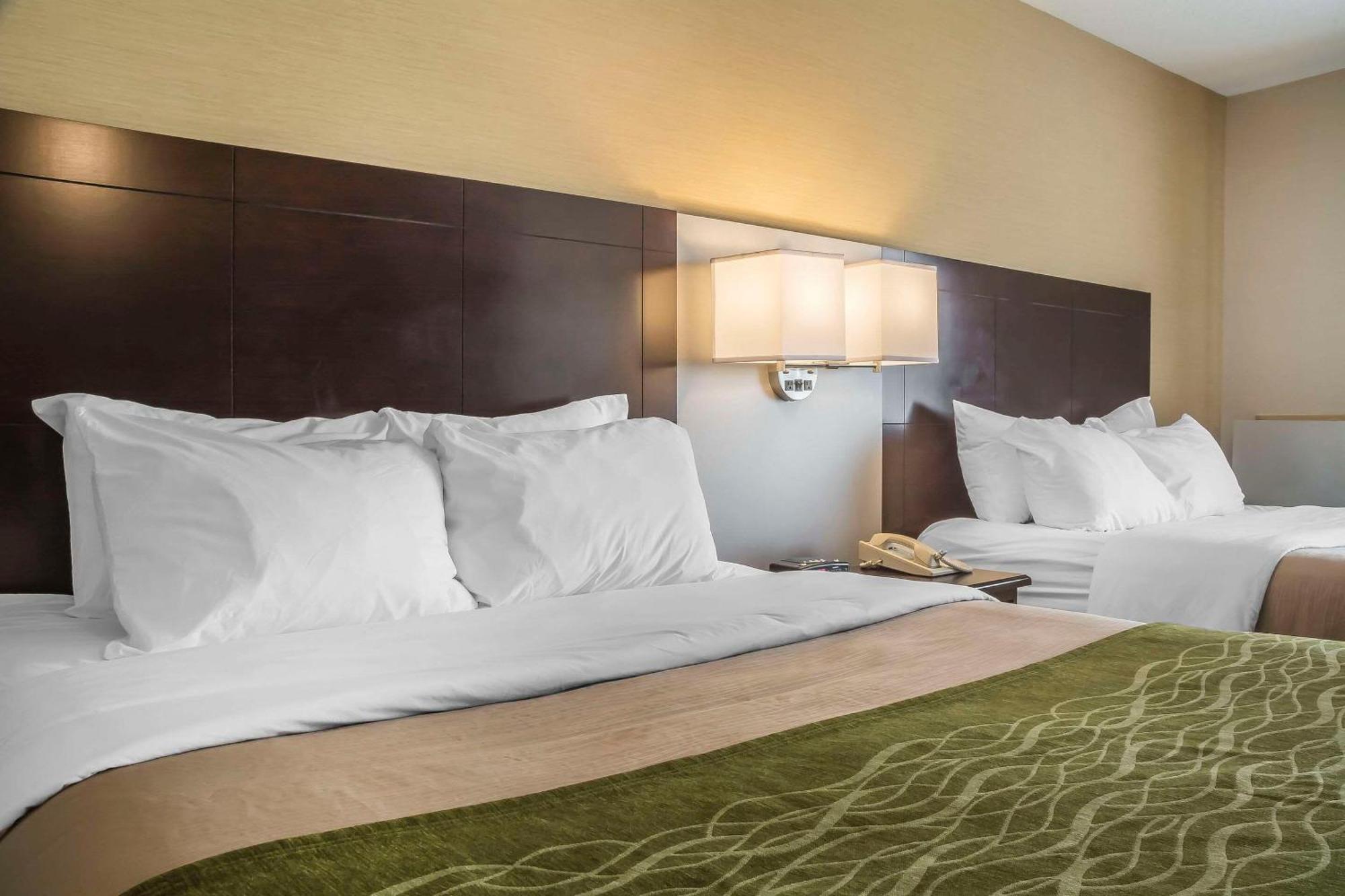 Comfort Inn Chatham-Kent Exteriör bild