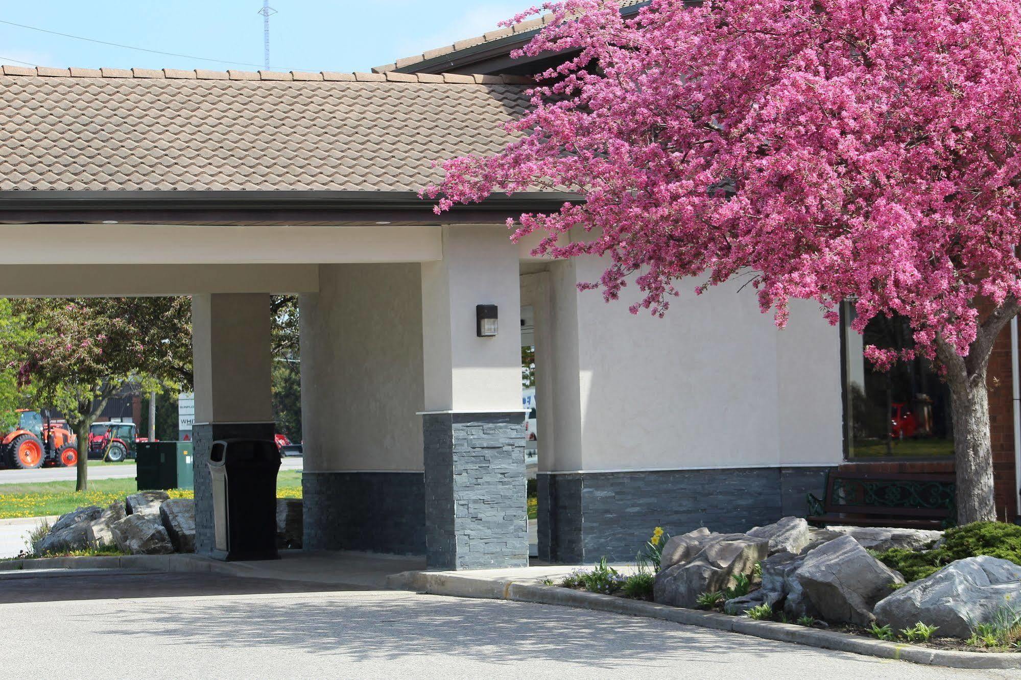 Comfort Inn Chatham-Kent Exteriör bild