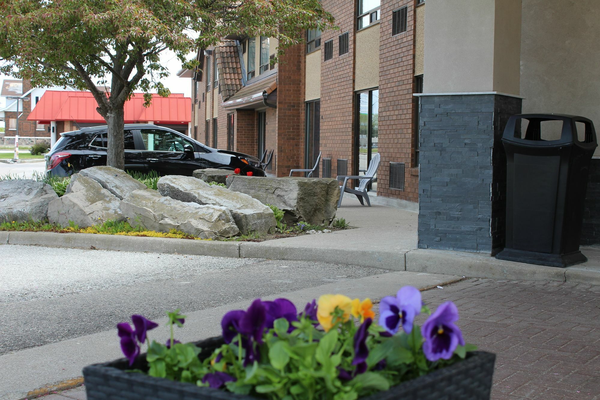 Comfort Inn Chatham-Kent Exteriör bild