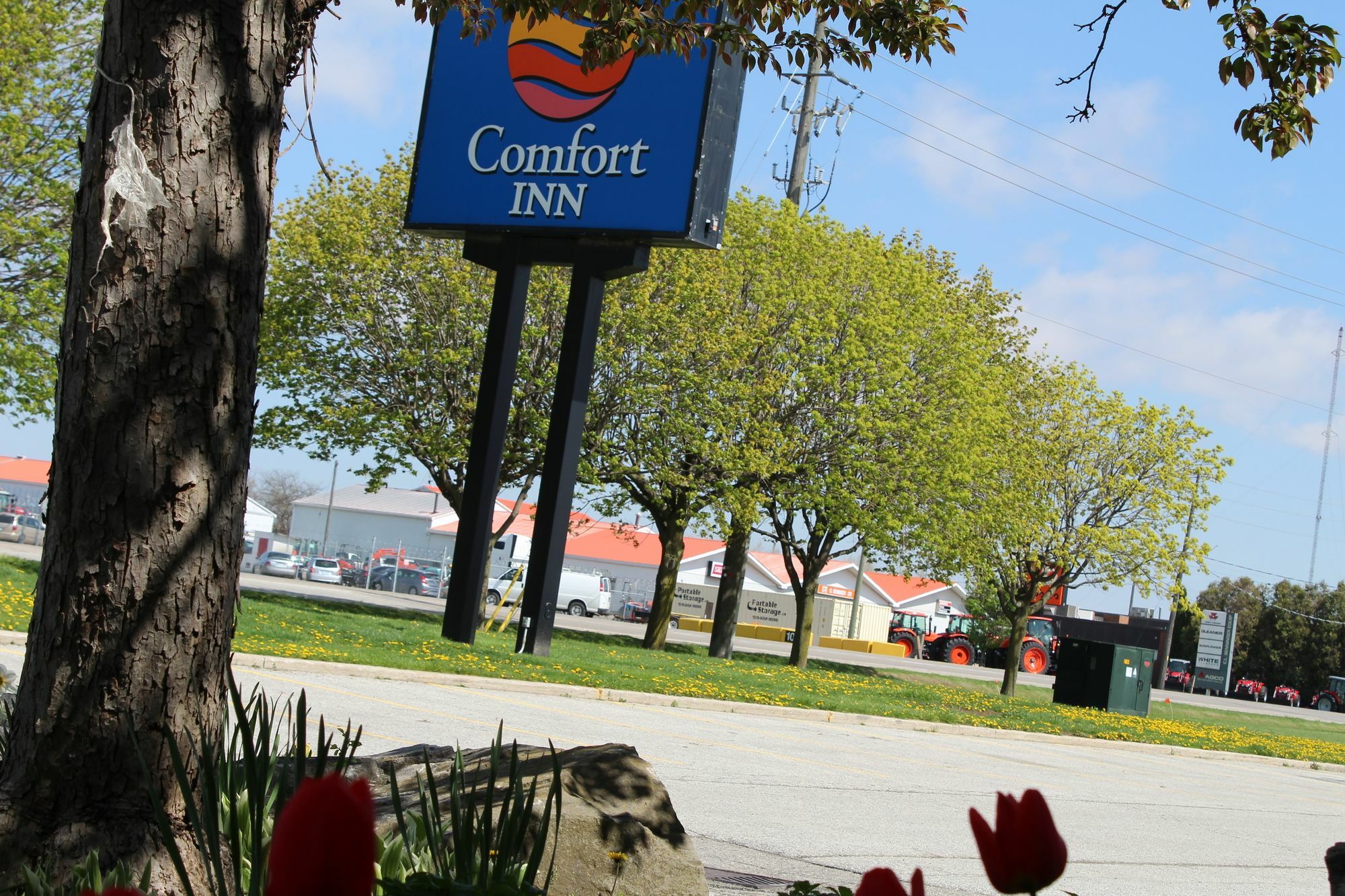 Comfort Inn Chatham-Kent Exteriör bild