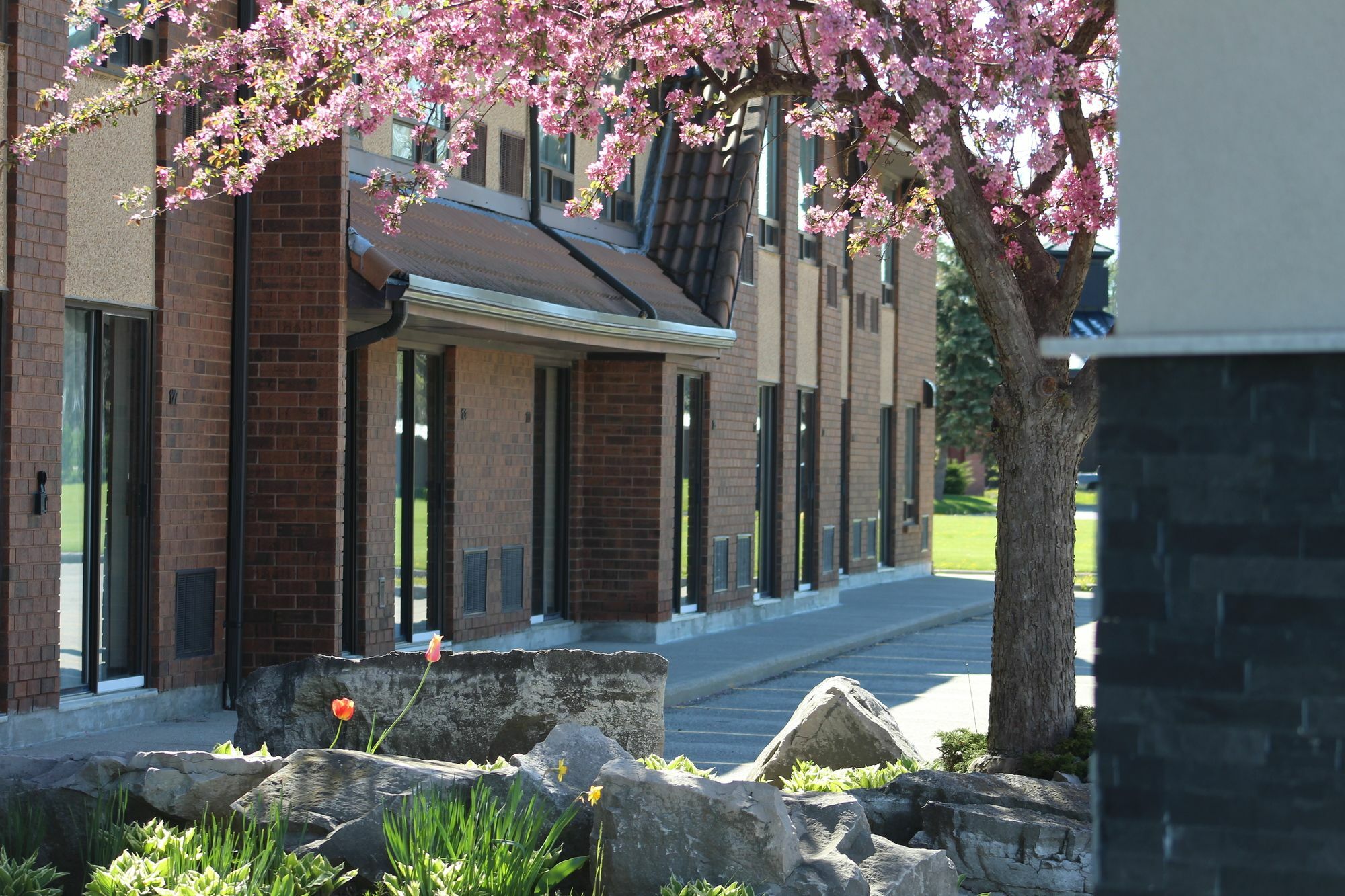 Comfort Inn Chatham-Kent Exteriör bild